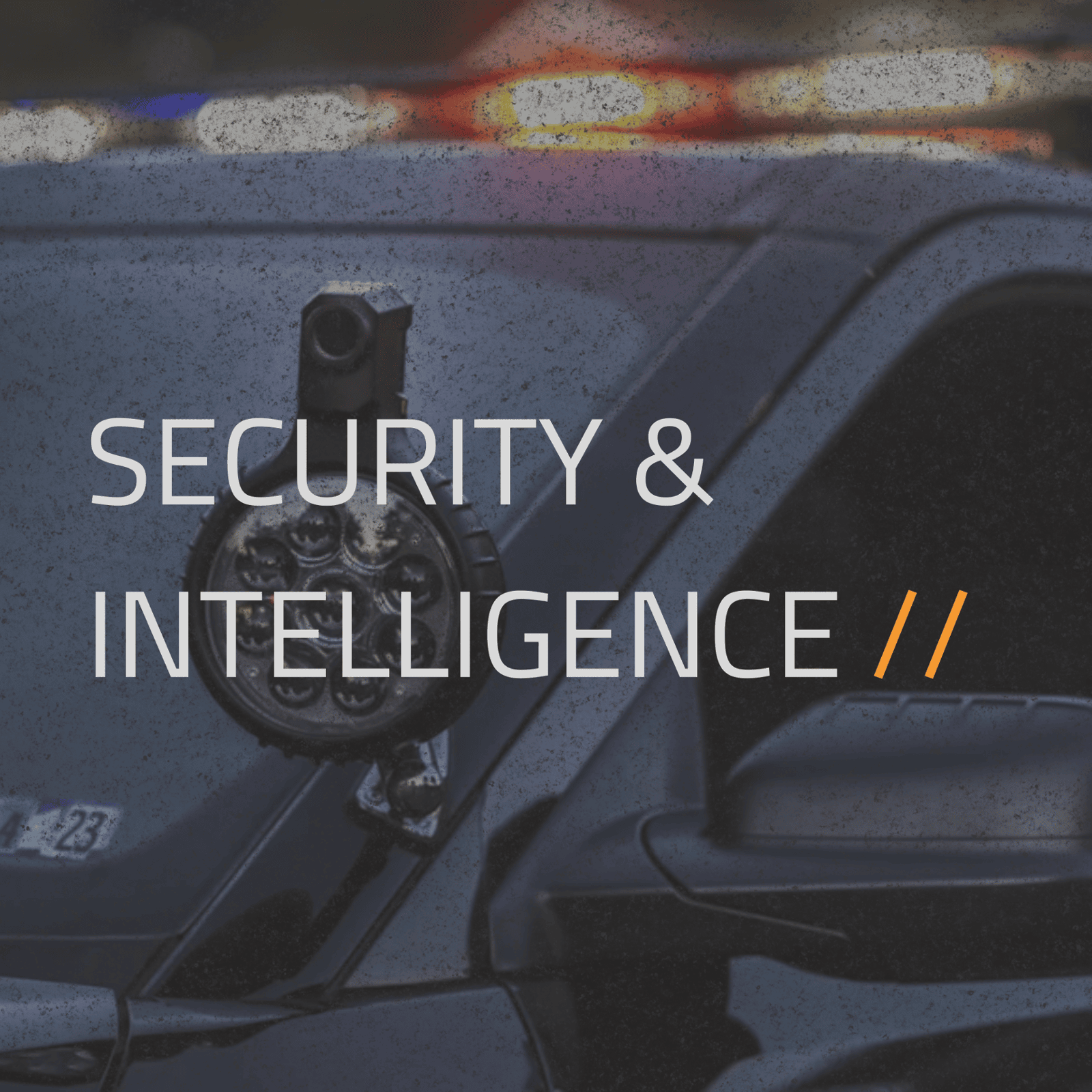 Sector security and intelligence solutions.