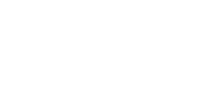 Havis Logo