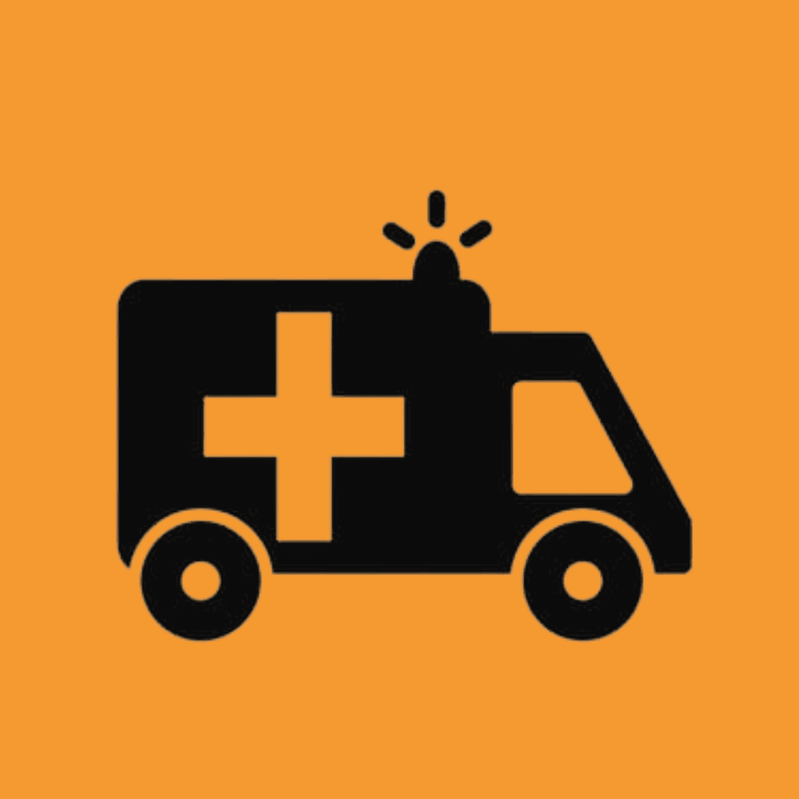 EMS icon