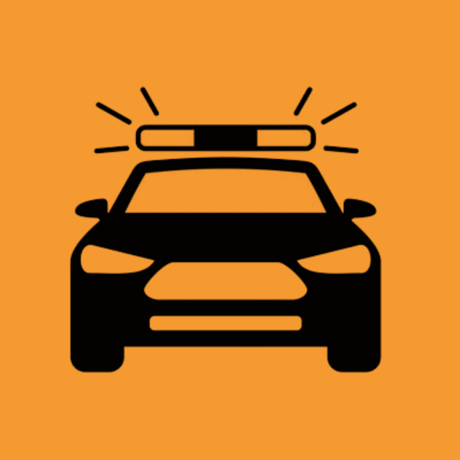 Law Enforcement Icon